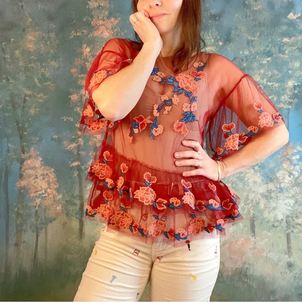 BEAUTIFUL! Zara embroidered mesh top. Sz. S